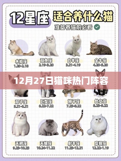 猫咪热门阵容解析（最新排行）