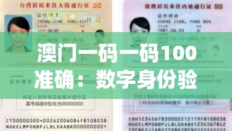 澳门一码一码100准确：数字身份验证的新基准
