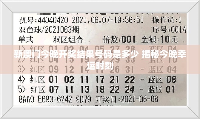 新澳门今晚开奖结果号码是多少 揭秘今晚幸运时刻