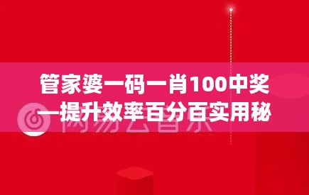 管家婆一码一肖100中奖—提升效率百分百实用秘诀