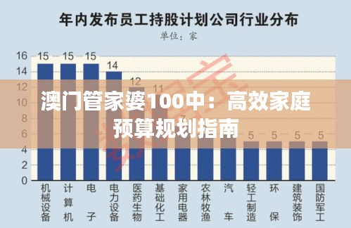 澳门管家婆100中：高效家庭预算规划指南