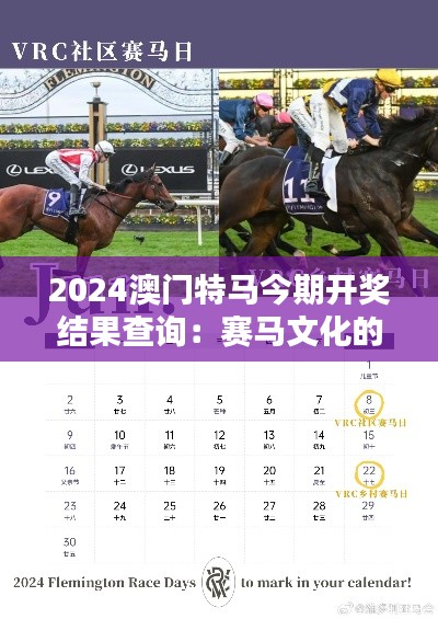 2024澳门特马今期开奖结果查询：赛马文化的魅力与传承