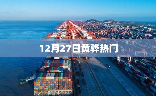 黄骅热点资讯，12月27日热议话题