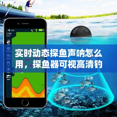 实时动态探鱼声呐怎么用，探鱼器可视高清钓鱼水下 