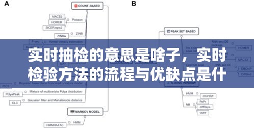 实时抽检的意思是啥子，实时检验方法的流程与优缺点是什么? 