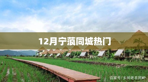 宁蒗同城12月热门活动