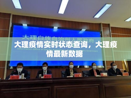 大理疫情实时状态查询，大理疫情最新数据 