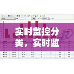 实时监控分类，实时监控细则 