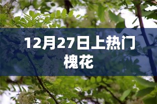 荣华富贵 第3页