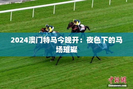 2024澳门特马今晚开：夜色下的马场璀璨