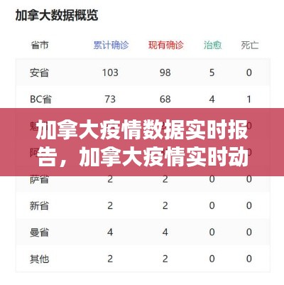 加拿大疫情数据实时报告，加拿大疫情实时动态追踪 