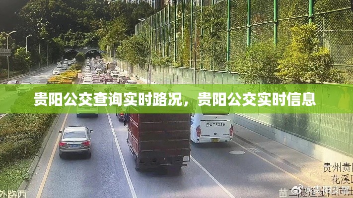 就楼磨刀 第3页