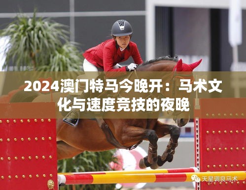 2024澳门特马今晚开：马术文化与速度竞技的夜晚