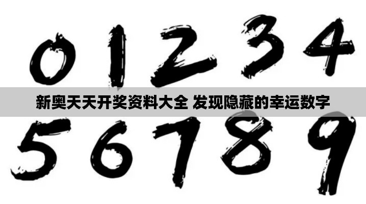 新奥天天开奖资料大全 发现隐藏的幸运数字