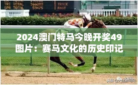 2024澳门特马今晚开奖49图片：赛马文化的历史印记
