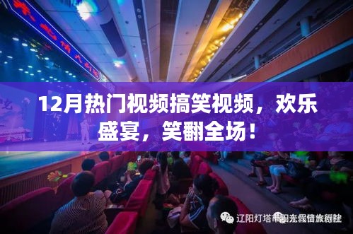 12月爆笑视频盛宴，欢乐无限，全场笑翻！