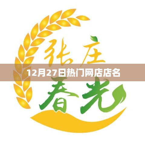 12月27日热门网店大揭秘