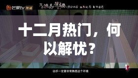 十二月热门解忧之道