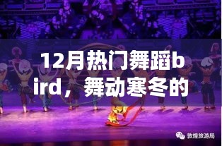 冬季热门舞蹈bird引领舞动时尚风潮