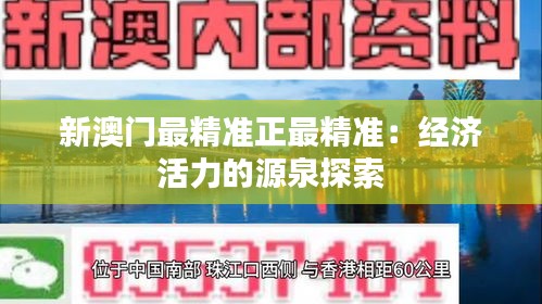 新澳门最精准正最精准：经济活力的源泉探索