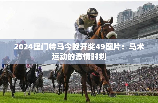 2024澳门特马今晚开奖49图片：马术运动的激情时刻