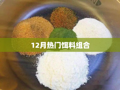 12月钓鱼必备饵料搭配秘籍！