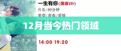 热门领域聚焦，揭秘十二月最新趋势