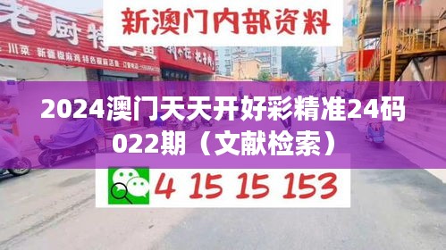 2024澳门天天开好彩精准24码022期（文献检索）
