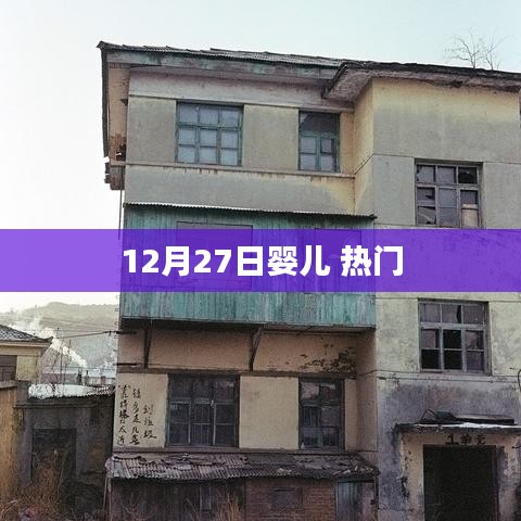 婴儿热点资讯，揭秘12月27日出生宝宝关注度飙升