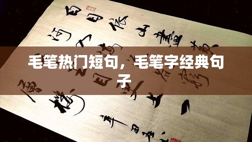 毛笔热门短句，毛笔字经典句子 
