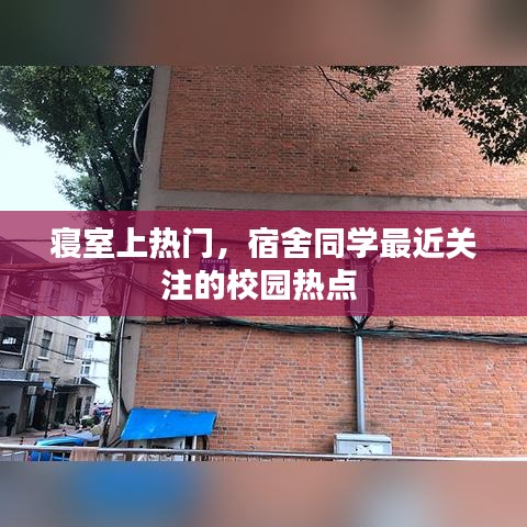 寝室上热门，宿舍同学最近关注的校园热点 