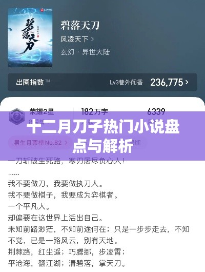 十二月热门小说盘点与深度解析