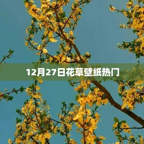 12月27日热门花草壁纸欣赏