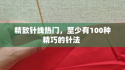 精致针线热门，至少有100种精巧的针法 