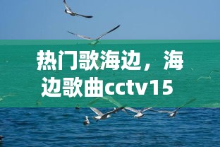 热门歌海边，海边歌曲cctv15 
