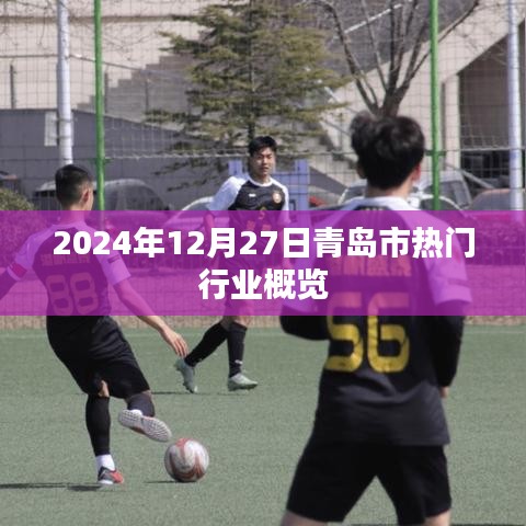 青岛市热门行业概览（2024年12月27日）