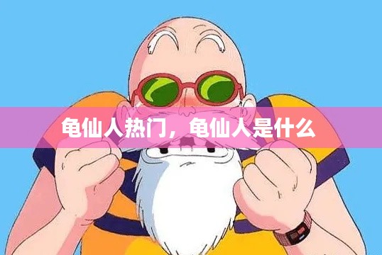 龟仙人热门，龟仙人是什么 