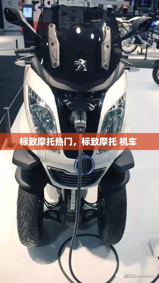 标致摩托热门，标致摩托 机车 