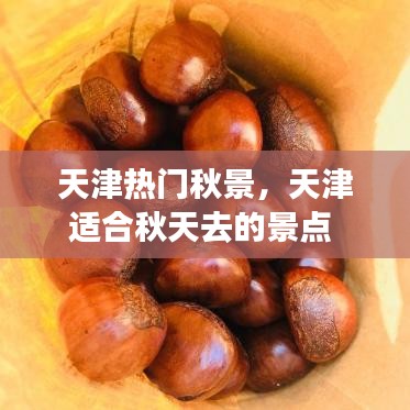 天津热门秋景，天津适合秋天去的景点 