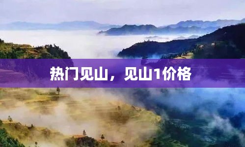 热门见山，见山1价格 