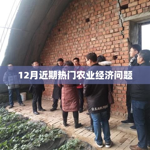 12月农业经济热点问题解析