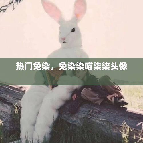 热门兔染，兔染染喵柒柒头像 