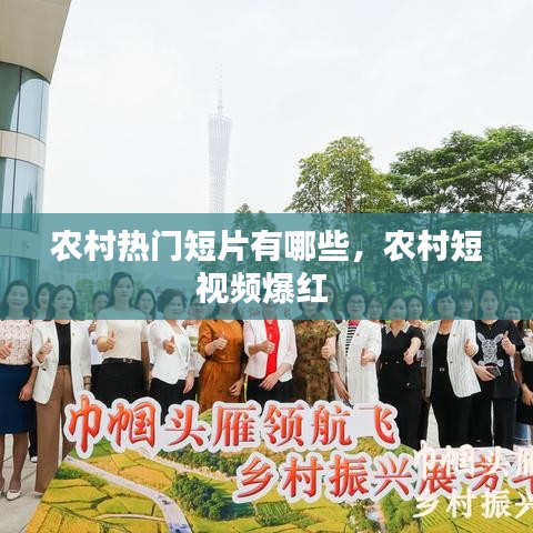 农村热门短片有哪些，农村短视频爆红 