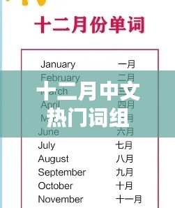 十二月中文流行词汇盘点