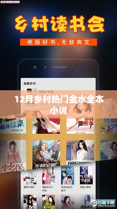 乡村十二月金水传奇小说