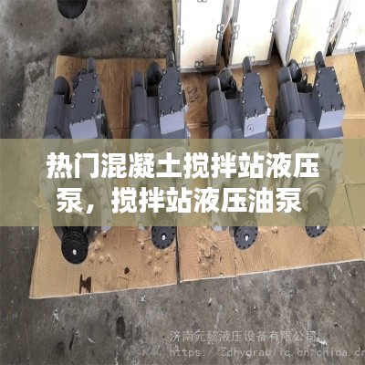 热门混凝土搅拌站液压泵，搅拌站液压油泵 