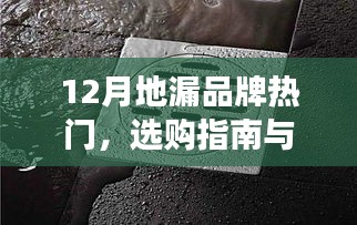 地漏品牌热门选购指南与市场洞察分析