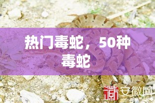 没精打采 第3页