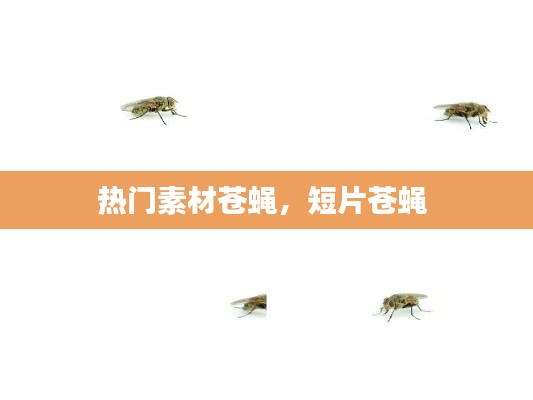 热门素材苍蝇，短片苍蝇 