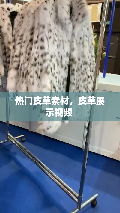 热门皮草素材，皮草展示视频 